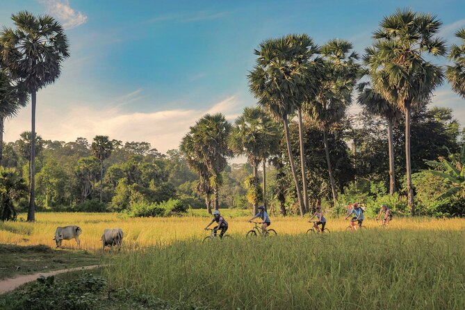 Siem Reap Countryside Guided Tour by Bike and E-Bike Private Tour - Key highlights to know before you go