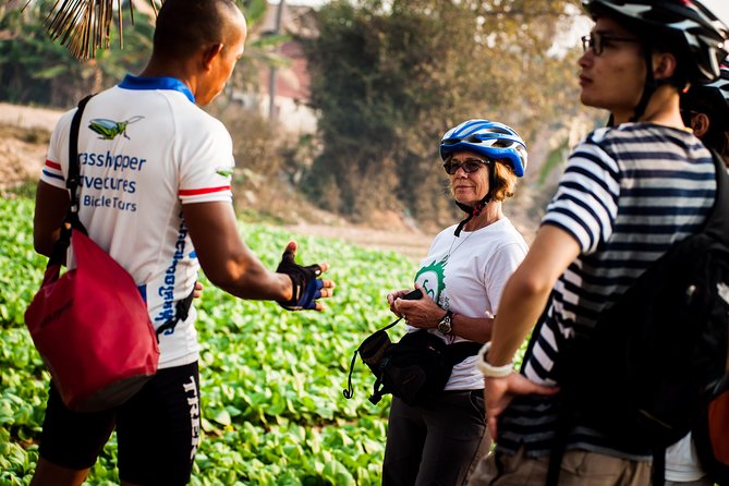 Siem Reap Countryside Guided Tour by Bike and E-Bike Private Tour - Stop-by-stop: Angkor Park outskirts, basket weaving, pagodas, and West Baray