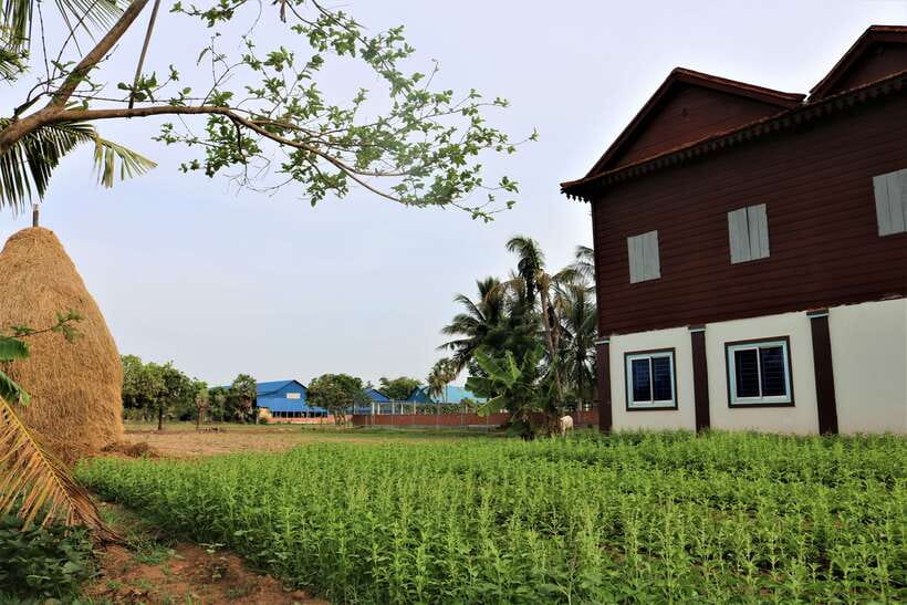 Siem Reap: Countryside Quad Bike Sunset Adventure - Price and value for a 3-hour quad bike adventure