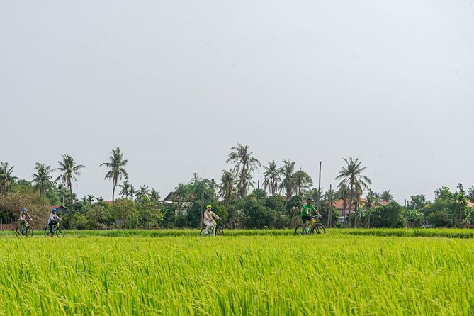 Siem Reap Countryside Sunset Bike Tour / E-Bike or Tuk Tuk - Siem Reap at Golden Hour: Why This Sunset Timing Works