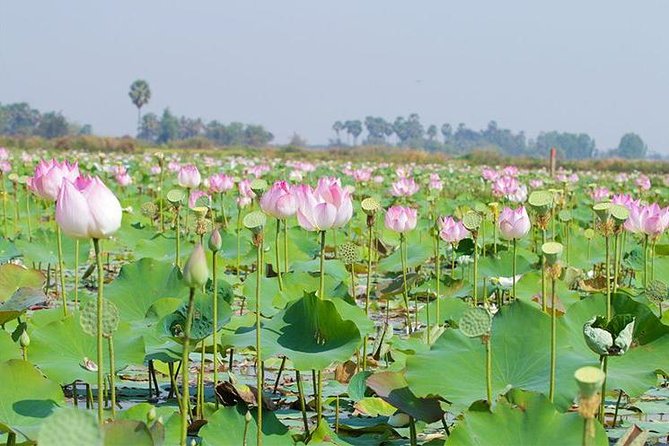 Siem Reap Countryside Sunset Jeep Tour - Half-day - Buddhist Monastery Stops: Context Helps Your Eye