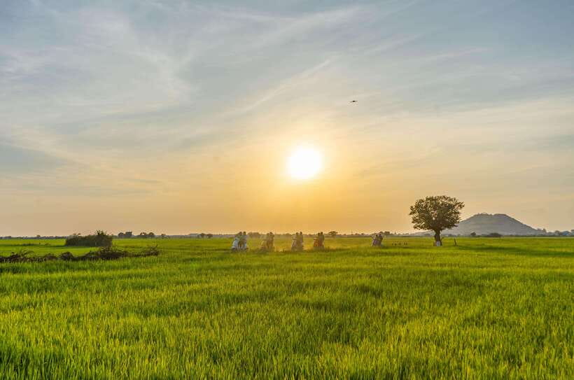 Siem Reap Countryside Sunset Vespa Tour or Tuk Tuk - A half-day countryside ride from Siem Reap, by Vespa or tuk tuk