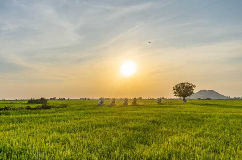 Siem Reap Countryside Sunset Vespa Tour or Tuk Tuk - Winery visit and Sra Sor rice wine tasting