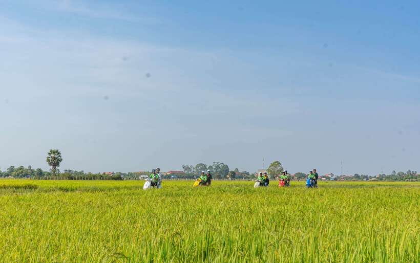 Siem Reap Countryside Sunset Vespa Tour or Tuk Tuk - Should you book this Siem Reap countryside sunset tour?