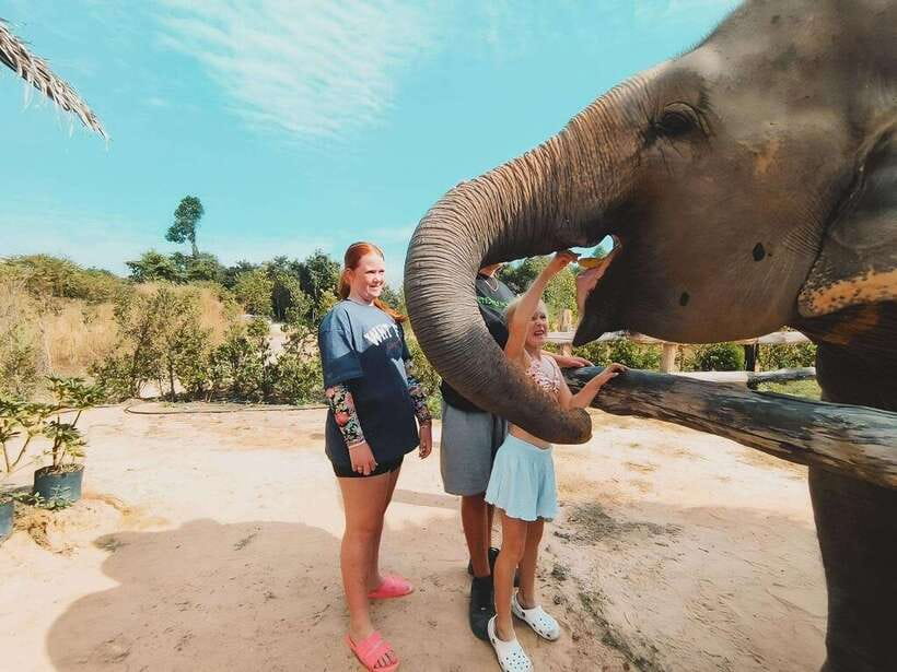 Siem Reap: Elephant Sanctuary Included Hotel Pickup Drop-off - Key things I think you will care about