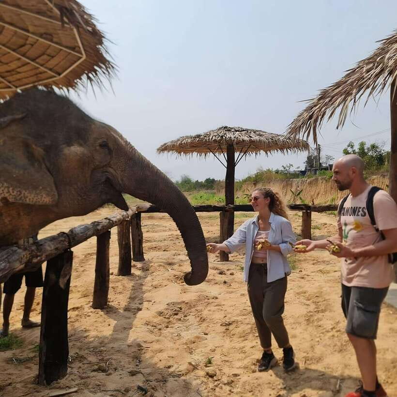 Siem Reap: Elephant Sanctuary Included Hotel Pickup Drop-off - Arriving at the Sanctuary: Safety Briefing and a Guided Start