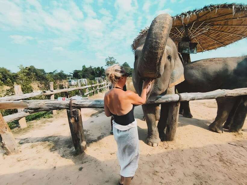 Siem Reap: Elephant Sanctuary Included Hotel Pickup Drop-off - Feeding and Digestive Well-Being: The Part That Feels Most Meaningful