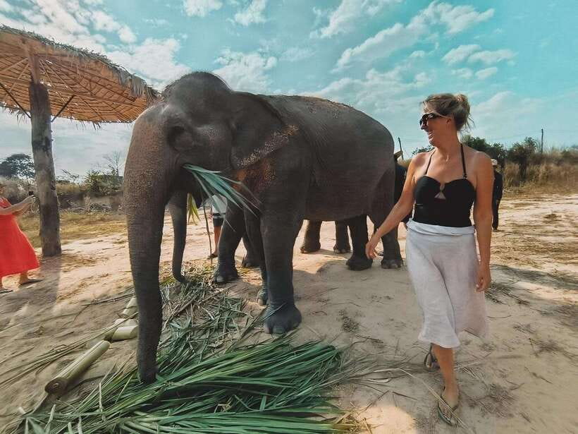 Siem Reap: Elephant Sanctuary Included Hotel Pickup Drop-off - Elephant Bathing Session and the Chill-Down Break