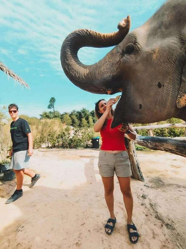 Siem Reap: Elephant Sanctuary Included Hotel Pickup Drop-off - What to Pack and Wear: The Gear That Saves Your Day