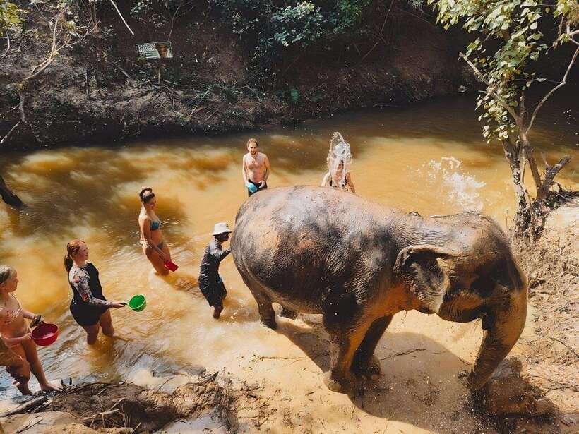 Siem Reap: Elephant Sanctuary Included Hotel Pickup Drop-off - Who Should Book, and Who Should Skip This Elephant Sanctuary Visit