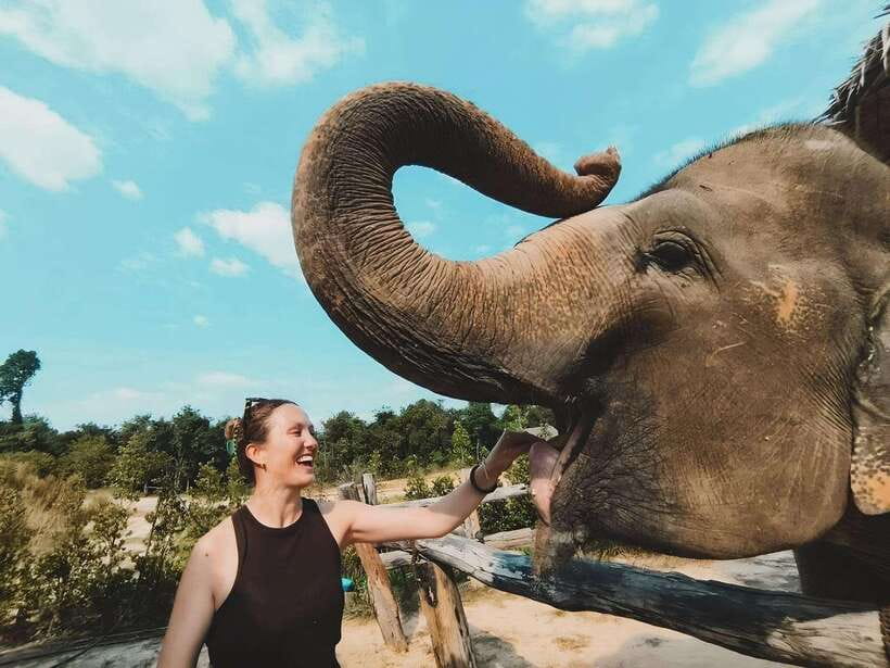 Siem Reap: Elephant Sanctuary Included Hotel Pickup Drop-off - Hotel Pickup From Krong Siem Reap: Plan for Shared Timing