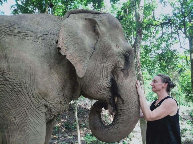 Siem Reap: Elephants & Apopo Rat Demining Private Trip - Key things to know before you go