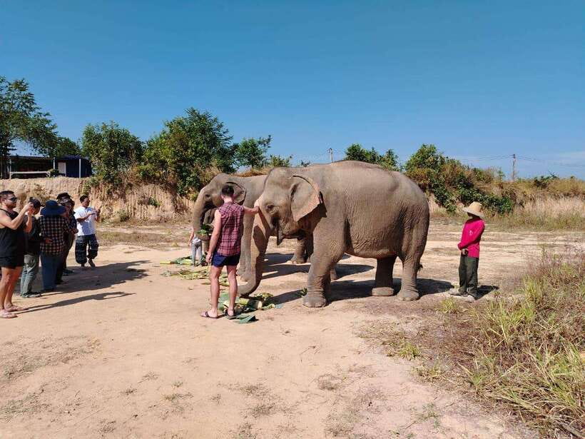 Siem Reap: Elephants & Apopo Rat Demining Private Trip - Who this suits best (and who might skip it)