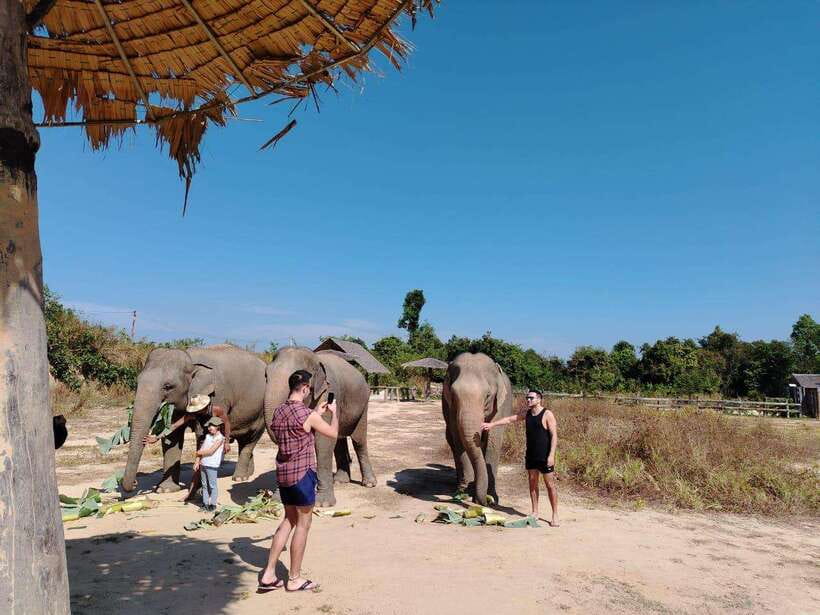 Siem Reap: Elephants & Apopo Rat Demining Private Trip - Tickets and real costs, what you pay beyond the tour fee