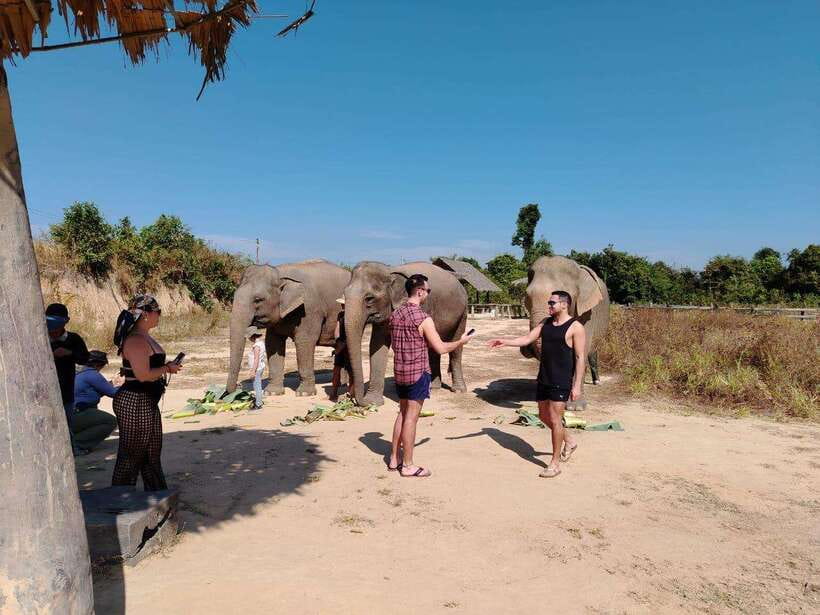 Siem Reap: Elephants & Apopo Rat Demining Private Trip - What to bring, because you might get splashed