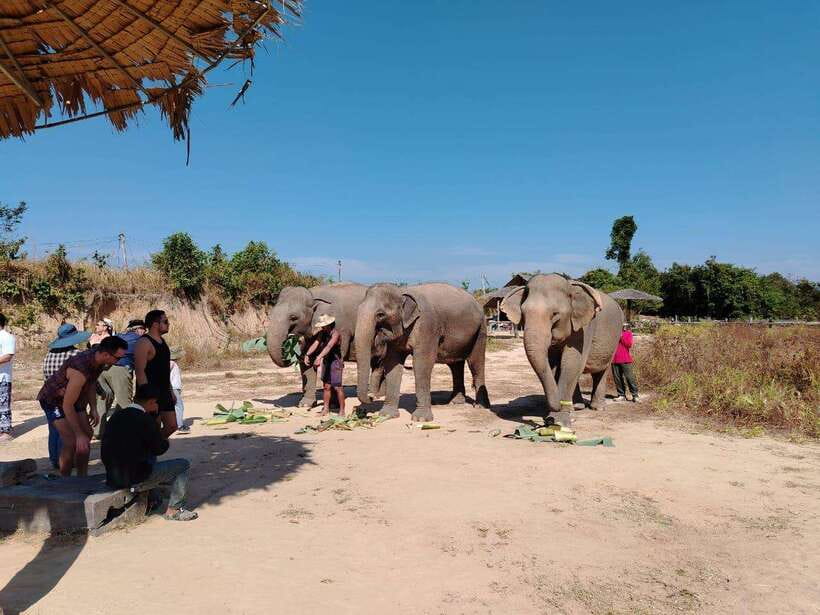 Siem Reap: Elephants & Apopo Rat Demining Private Trip - Ethical elephant care meets practical land safety