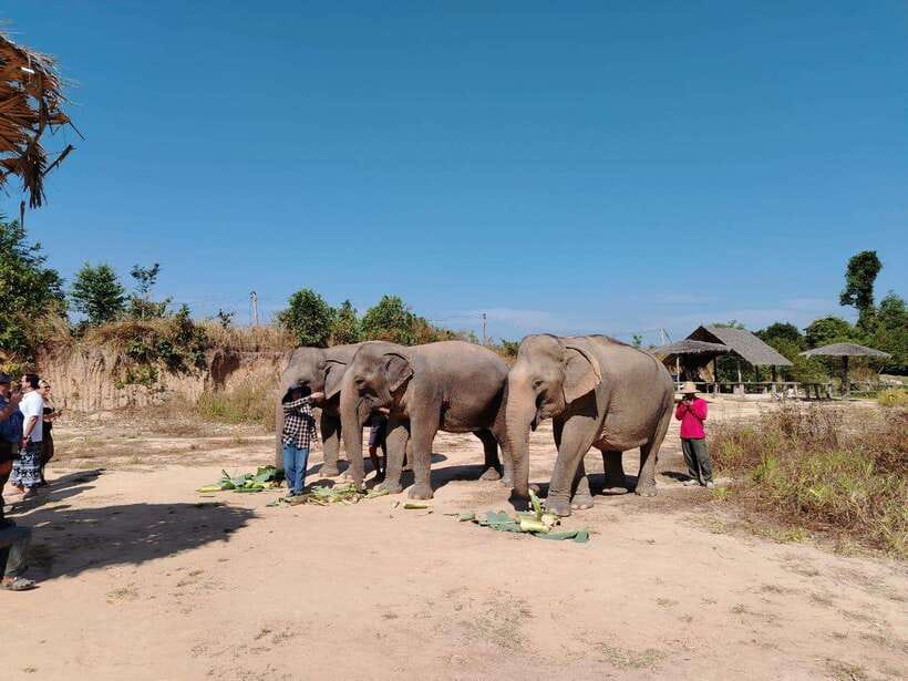 Siem Reap: Elephants & Apopo Rat Demining Private Trip - The ride out of Siem Reap, comfort and local context