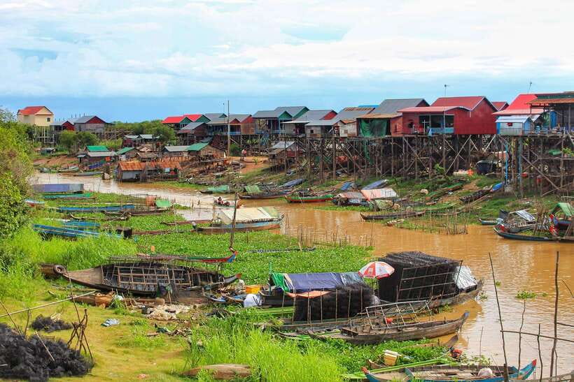 Siem Reap Floating Village Tour, Kompong Phluk Tour - Floating forest and mangrove swamps: the sunset boat moment that sells the tour
