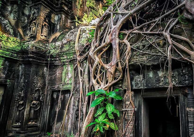 Siem Reap: Full-Day Angkor Wat Guided Tour with Sunset - Angkor Thom, Bayon Faces, and the Terraces That Make You Stop