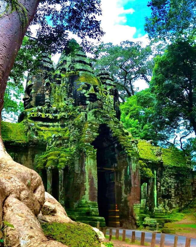 Siem Reap: Full Day Angkor Wat Temple Tour with Sunset - Ta Prohm Jungle Path: When the Ruins Look Alive