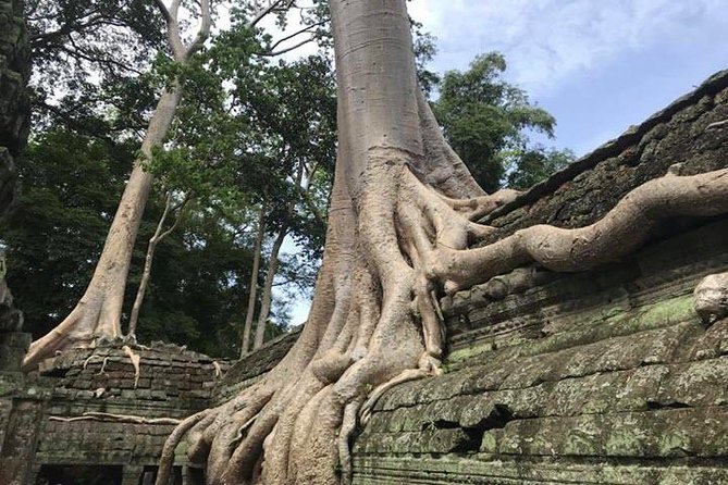 Siem Reap Full Day Angkor Wat Tour Small Group - Angkor Thom and Bayon: walking a once-capital city