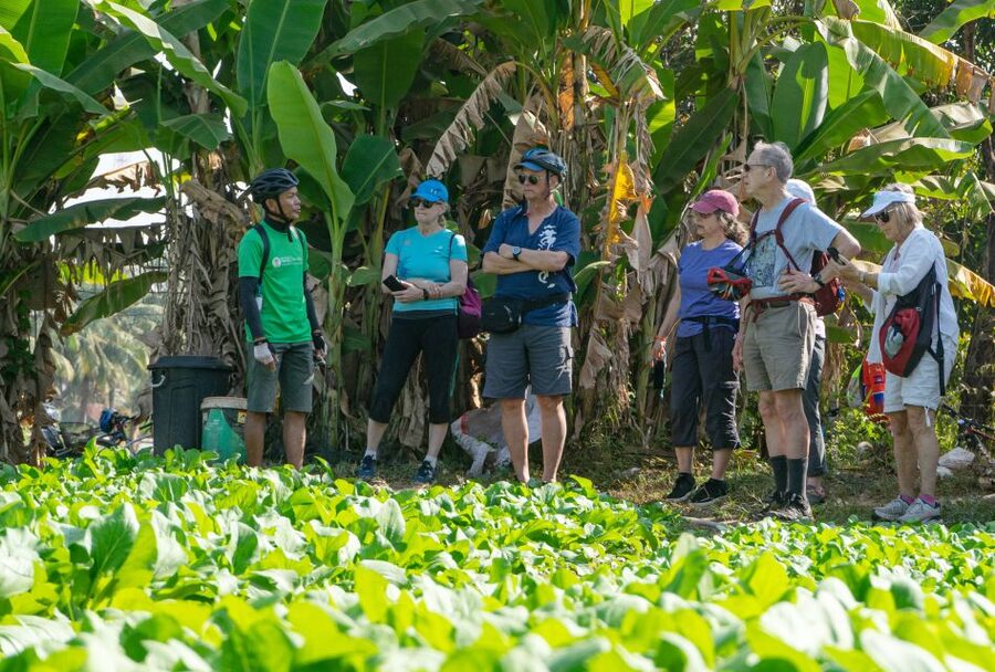 Siem Reap: Guided Countryside Bike Tour - Price and Value: Is $35 a Good Deal?