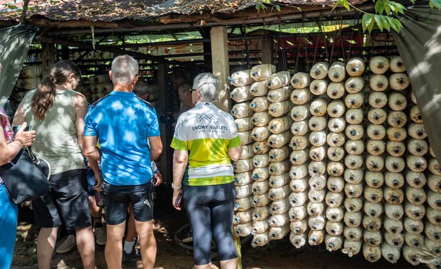 Siem Reap: Guided Countryside Bike Tour - Buddhist Temples and Lotus Farms for a Slower, Scenic Pause