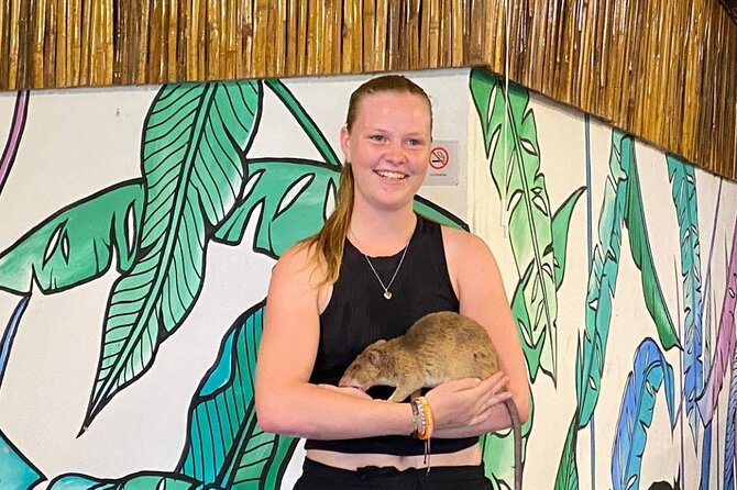 Siem Reap Guided Tour & Hero RATs at APOPO Visitor Center - Key highlights you will actually care about