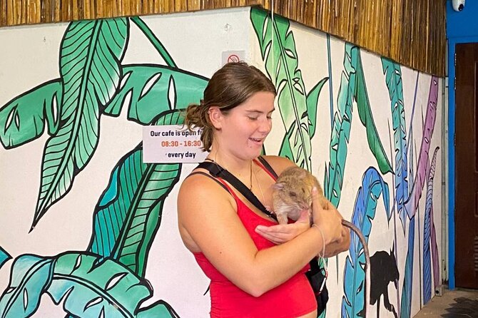 Siem Reap Guided Tour & Hero RATs at APOPO Visitor Center - Transportation, timing, and how to plan your day around it