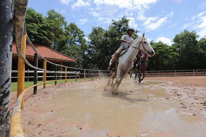 Siem Reap Happy Horse Riding Free Pick-up & Drop-off - Key highlights worth knowing before you book