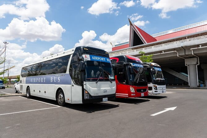 Siem Reap International Airport Shared Shuttle Bus Transfer - Siem Reap airport shuttle: where it fits in your travel day