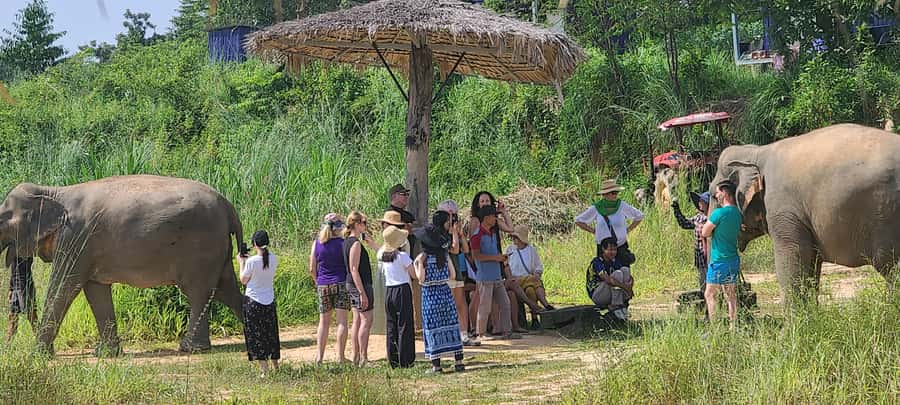 Siem Reap: Kulen Elephant Forest Guided Tour - Key highlights that make this tour worth your time