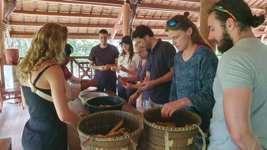 Siem Reap: Kulen Elephant Forest Guided Tour - Who Should Book This Tour, and Who Might Hesitate