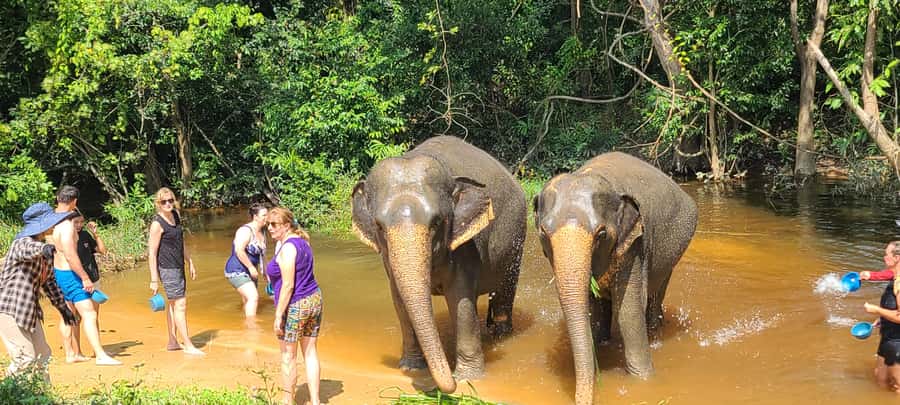 Siem Reap: Kulen Elephant Forest Guided Tour - Base Camp Lunch at Noon: Khmer Food, Timing, and Allergy Reality