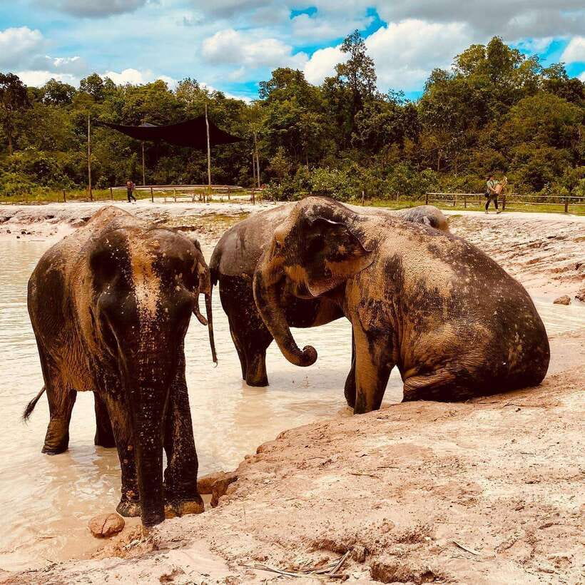 Siem Reap: Kulen Elephant Forest & Tonlesap Lake - Key highlights worth planning for