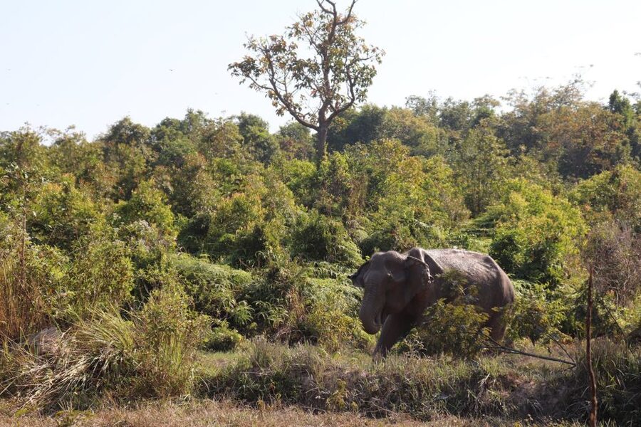Siem Reap: Kulen Elephant Forest & Tonlesap Lake - Tonle Sap Lake at Kompong Phluk: stilt houses and floating market life