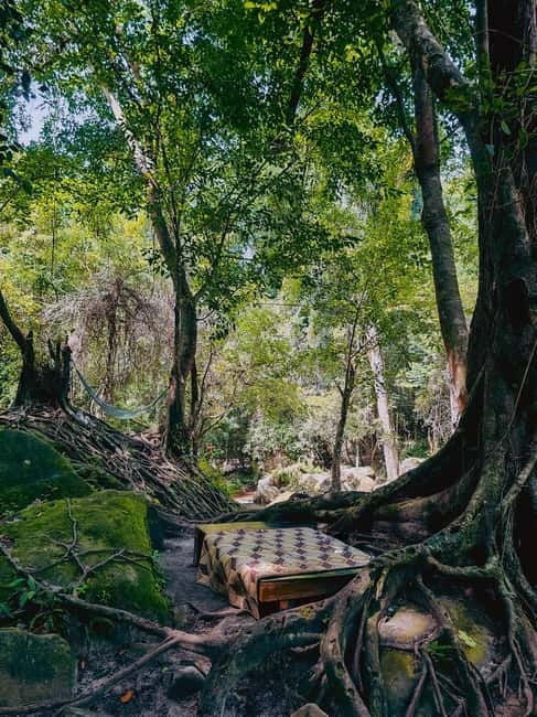Siem Reap: Kulen Mountain, Beng Mealea, and Kampong Phluk - Price and value: what $85 gets you, and what’s extra