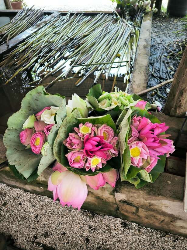 Siem Reap Lotus Silk Farm Discovery tour & Lake experience - Practical tips to make your day smoother