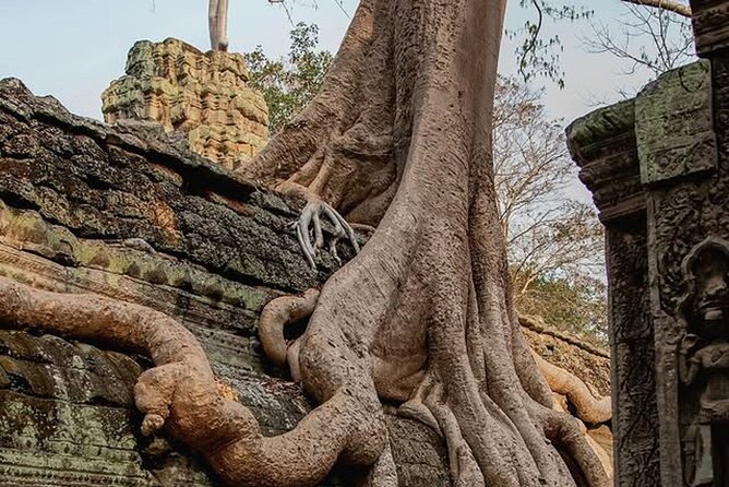 Siem Reap Private Full Day Angkor Wat Tour with Sunset or Sunrise - Hotel pickup and a private vehicle that actually helps