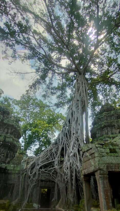 Siem Reap Private Tour: Angkor Wat Sunrise And Banteay Srei - Private Chauffeur-Guide From Your Hotel, Not a Group Shuffle
