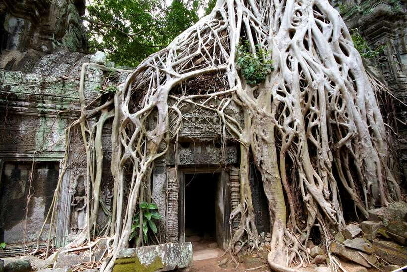 Siem Reap: Private Tour of Angkor Complex - Private comfort from your Siem Reap hotel