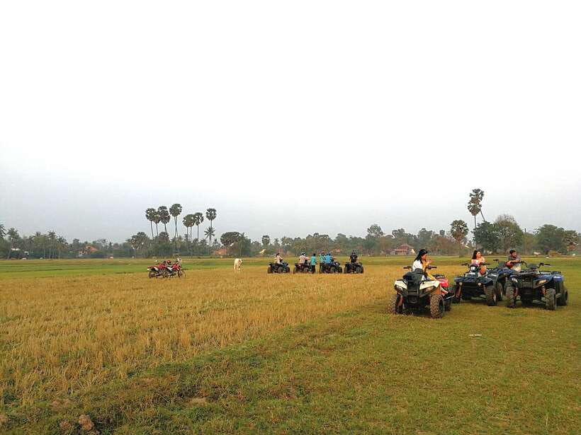 Siem Reap Quad Bike Countryside Tour - Riding the Countryside: Villages, Buffalo, and Those Dirt-Track Turns