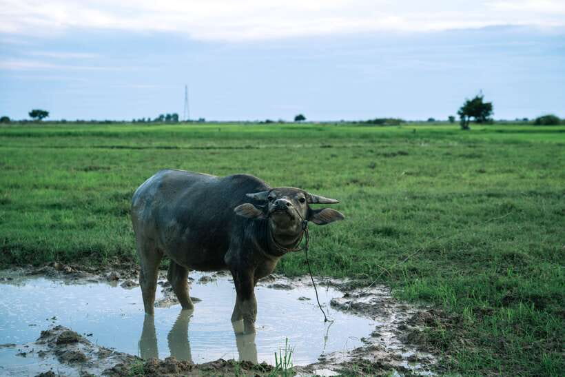 Siem Reap: Quad Bike Tour of Local Villages - The ride back after dark: fun, safe, and a little wild