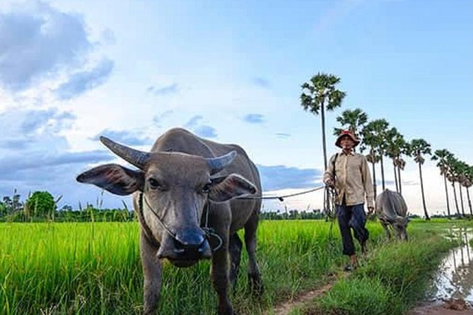 Siem Reap: Silk Farm & Countryside Offbeat Jeep Tour - A vintage jeep in Siem Reap countryside feels more human