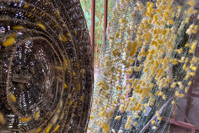 Siem Reap: Silk Farm & Countryside Offbeat Jeep Tour - The jeep comfort check: fun ride, but pick your seat