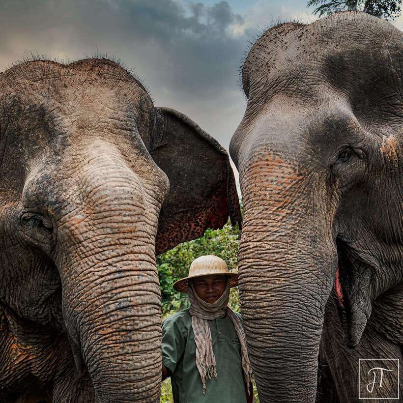 Siem Reap: Small Group Tour of Kulen Elephant Forest - Key things to know before Kulen Elephant Forest