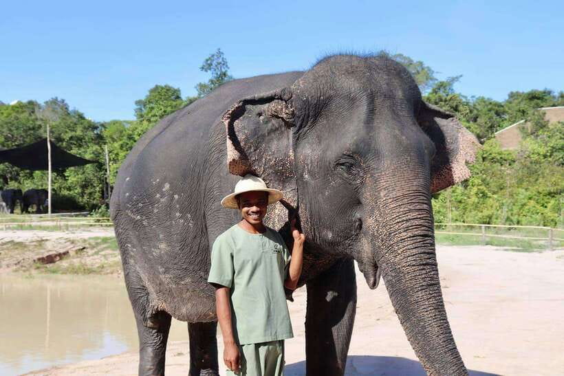 Siem Reap: Small Group Tour of Kulen Elephant Forest - Kulen Elephant Forest, not a quick zoo stop