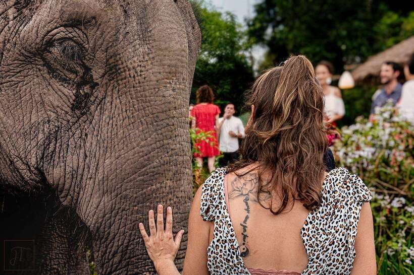 Siem Reap: Small Group Tour of Kulen Elephant Forest - Handmade elephant snacks and respectful, up-close moments