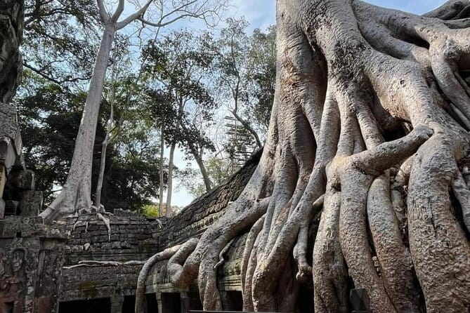 Siem Reap Temple Tuktuk Tour: Explore Angkor Wat and beyond. - Ta Prohm in About One Hour: Roots, Stone, and Movie-Scene Energy