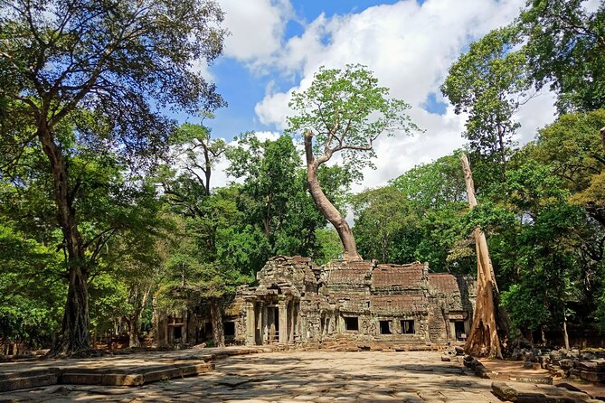 Siem Reap Tour: Angkor Wat Sunrise, Bayon, Ta Prohm, Banteay Srei - Bayon and Angkor Thom South Gate: Buddha Faces, Then the Demons-and-Gods Scene